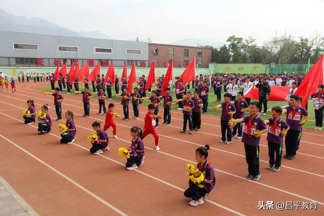 校园竞技体育的魅力,校园青春比赛