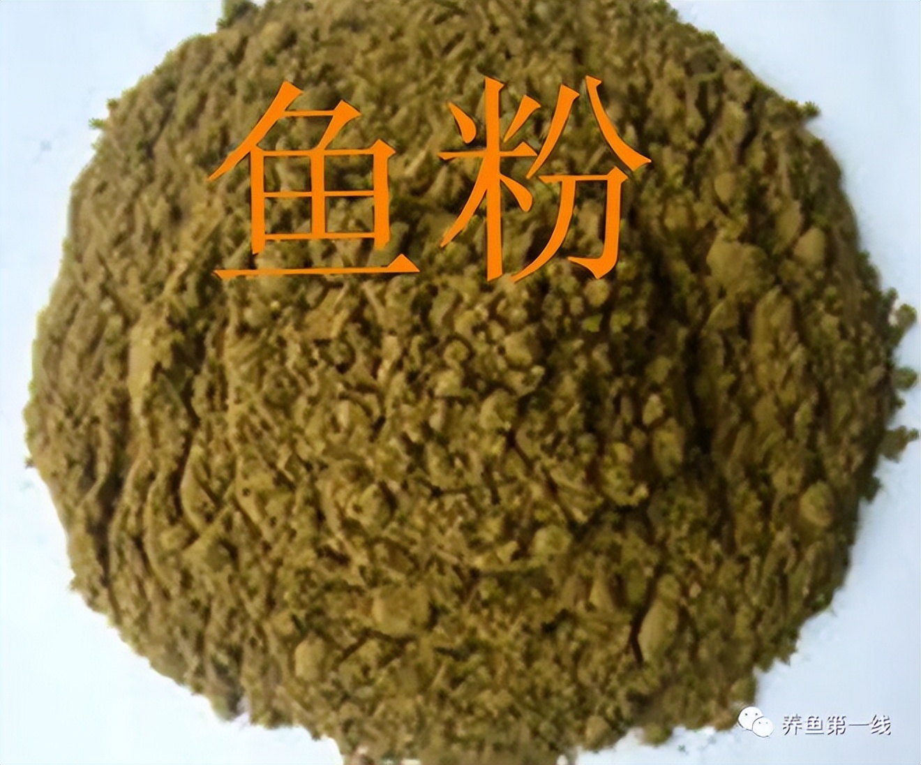 各种养殖鱼饲料需要的脂肪含量,鱼类饲料中需要哪些添加剂成分