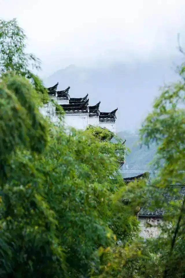 十首“山居杂诗”，山居，讲究回归我大自然，是现代人的梦中桃源