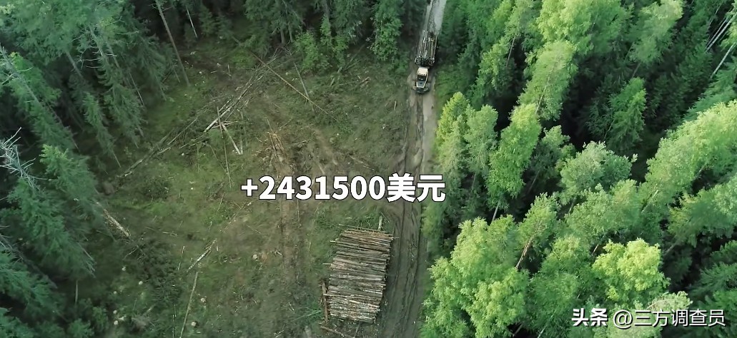 他走进一家算命铺子，就稀里糊涂的少了1600万！美国旧案回顾