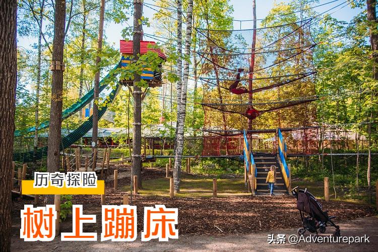 鏍戦棿璺冲姩妫灄鎺㈤櫓涔愬洯韫﹀簥,妫灄鍏洯韫﹀簥杩峰