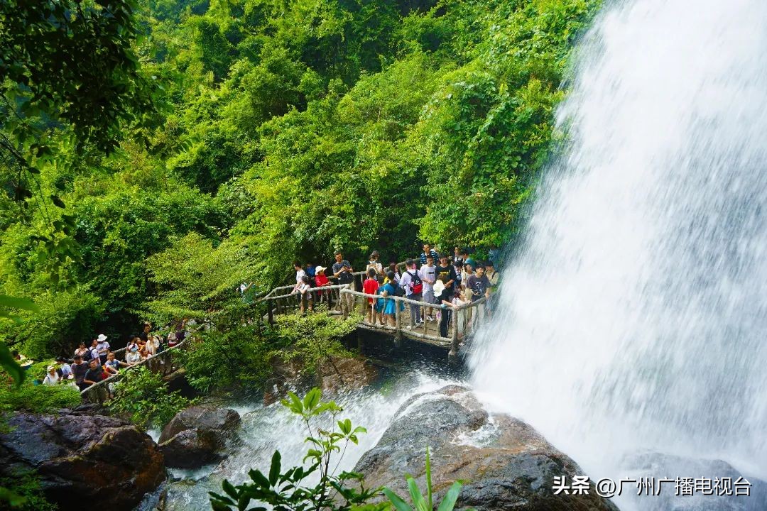 端午出游人数或达1亿人次,端午或有1亿人出游