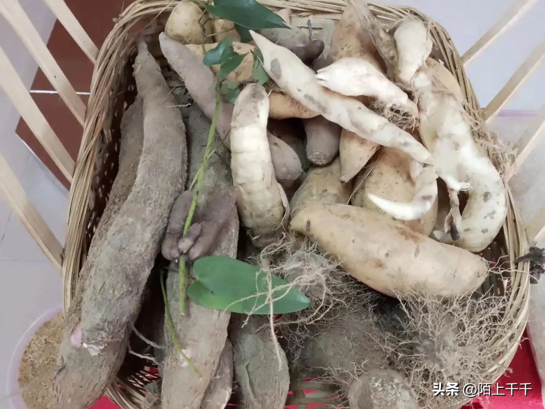 开平市赤水镇风景,开平赤水好玩的地方