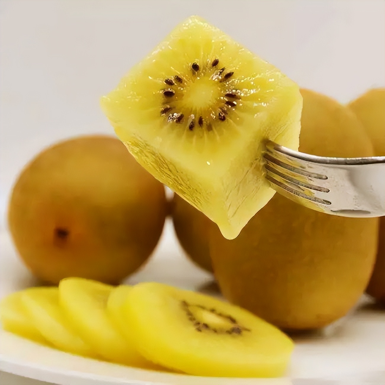 原汁原味的猕猴桃,云雾山原汁原味香甜可口的猕猴桃