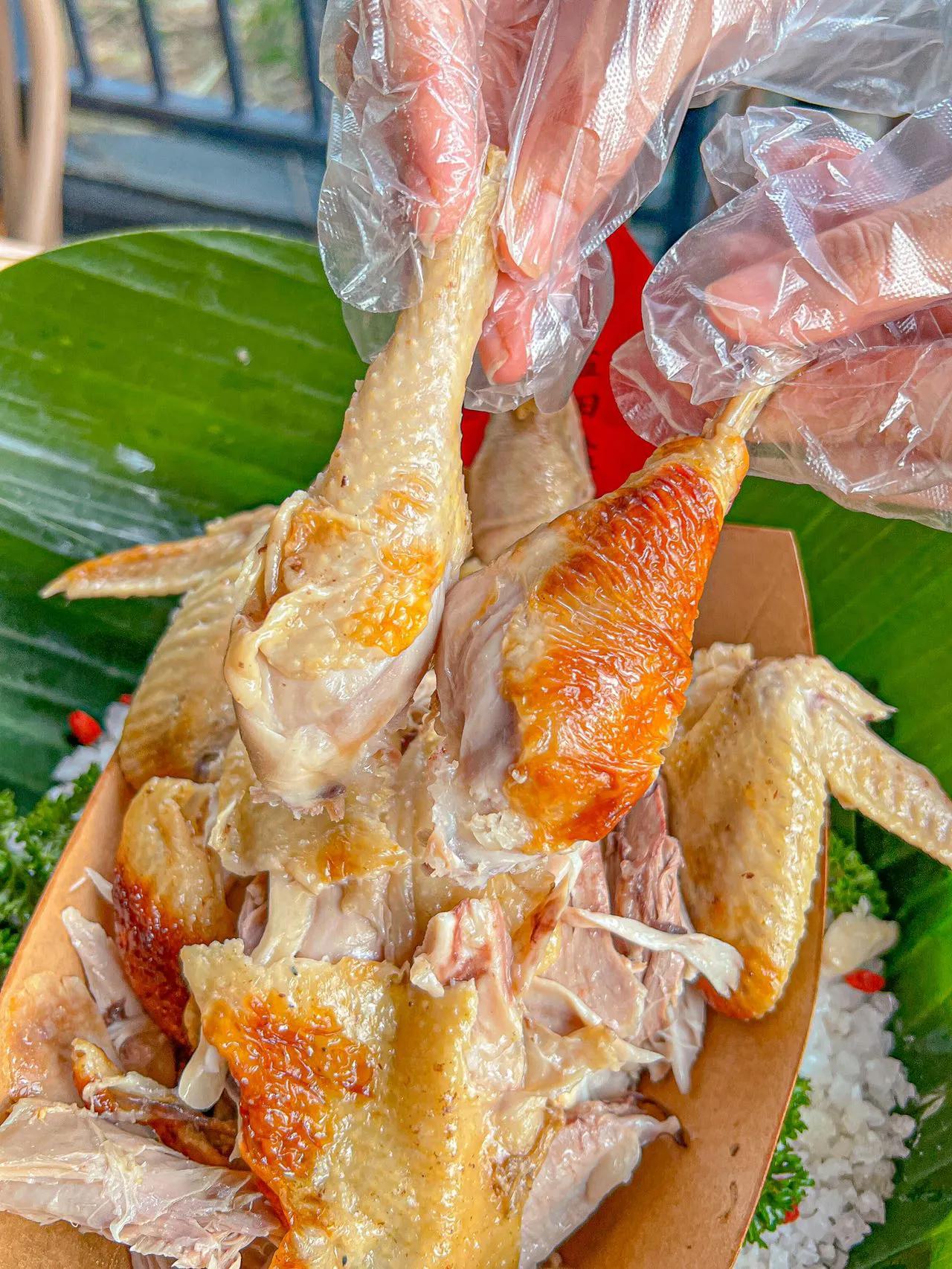 三亚最实惠的椰子鸡,三亚值得推荐的椰子鸡