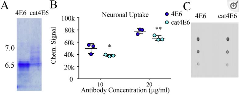 tau鎶椾綋,tau鎶椾綋涓村簥璇曢獙