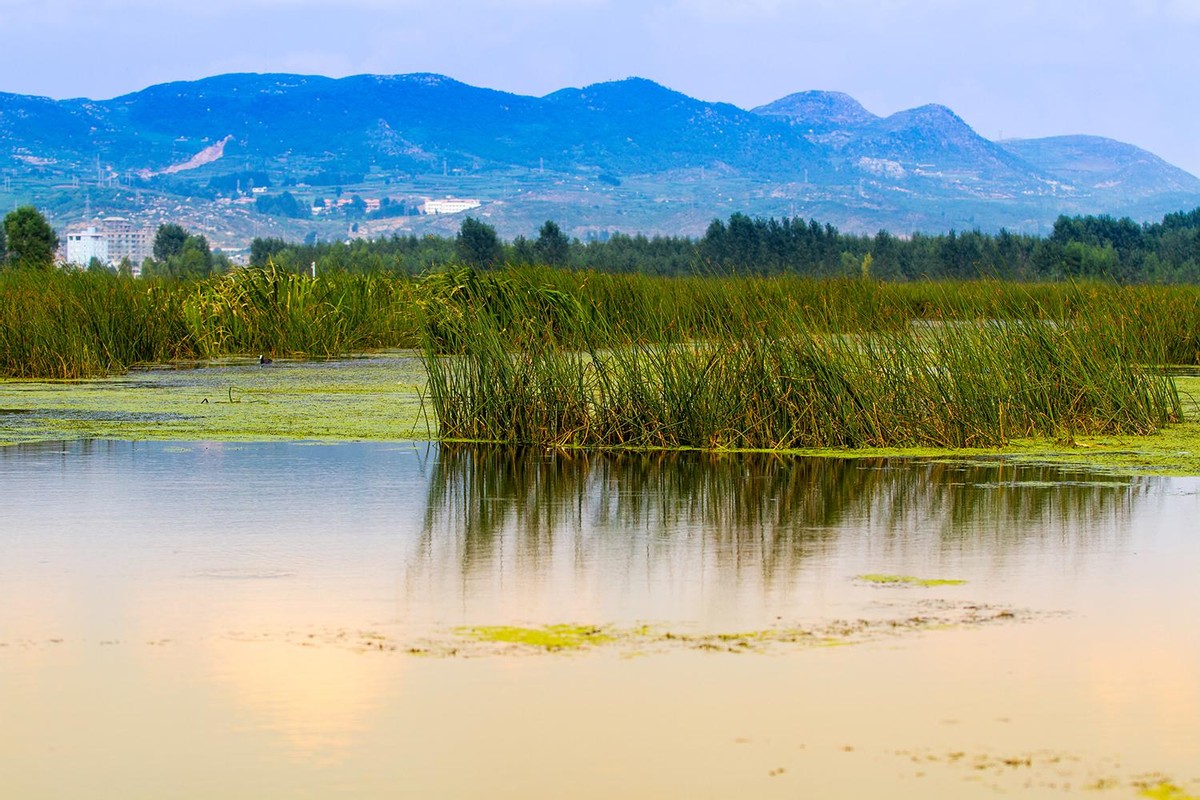 威宁草海观鸟摄影攻略,三大高原湖泊草海