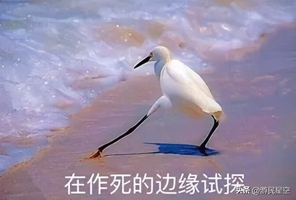 爬高上低、花式作死跑酷咋还成了网红运动”?