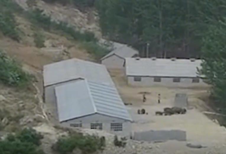 富家女下嫁农村小伙婚后生活,富家女子嫁给穷小子过苦日子