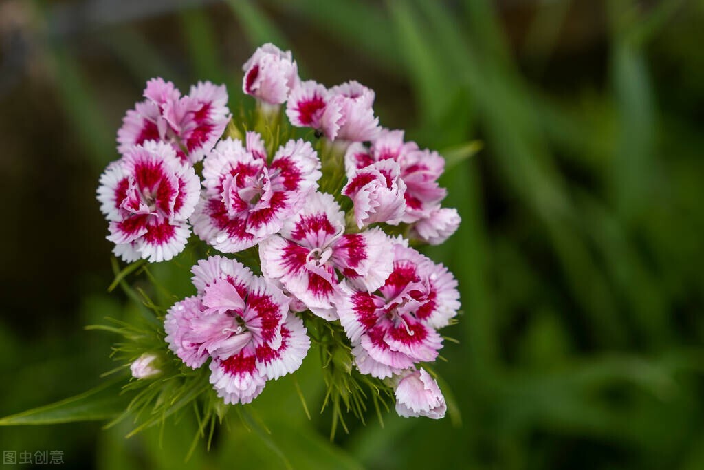 葡萄牙科普冷知识,葡萄牙是个神奇的国家