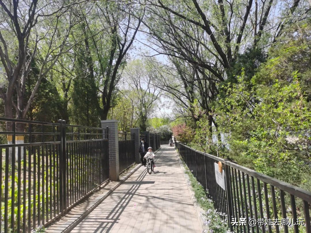 盘点各城市的骑行绿道,北京朝阳区39公里绿道将开放骑行