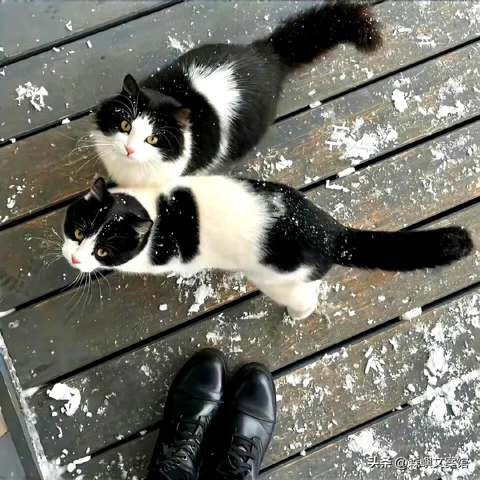 聊天凑热闹的幽默文案,聊天emo文案男生专用