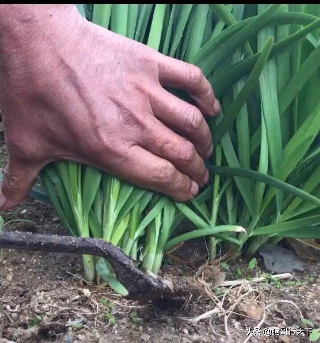 都开始玩订阅制了？IntleCPU计划加入付费增值服务