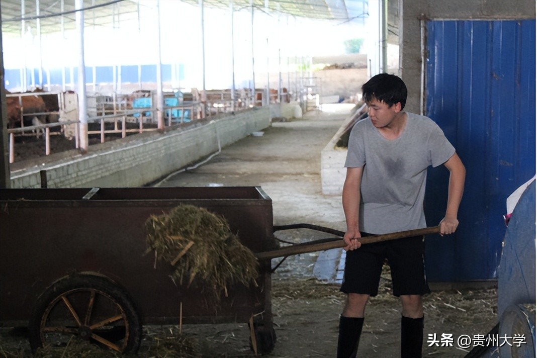 璐靛ぇ瀛﹂櫌,璐靛ぇ鏈鍗囧