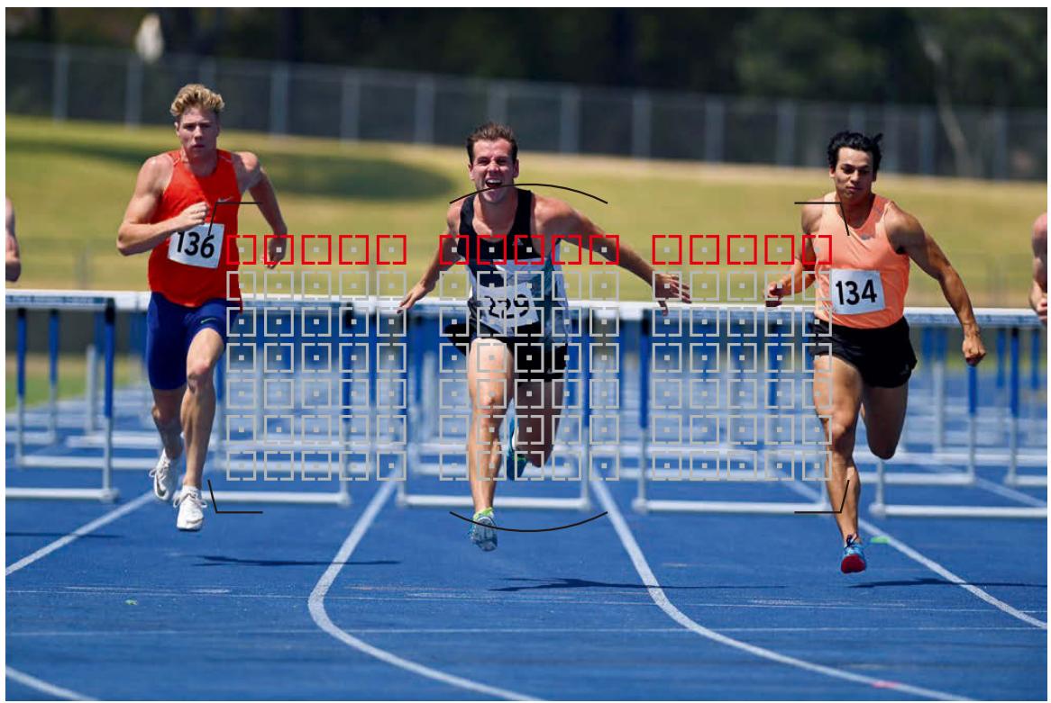 摄影入门知识相机拍摄模式详解,相机对焦入门基础知识大全