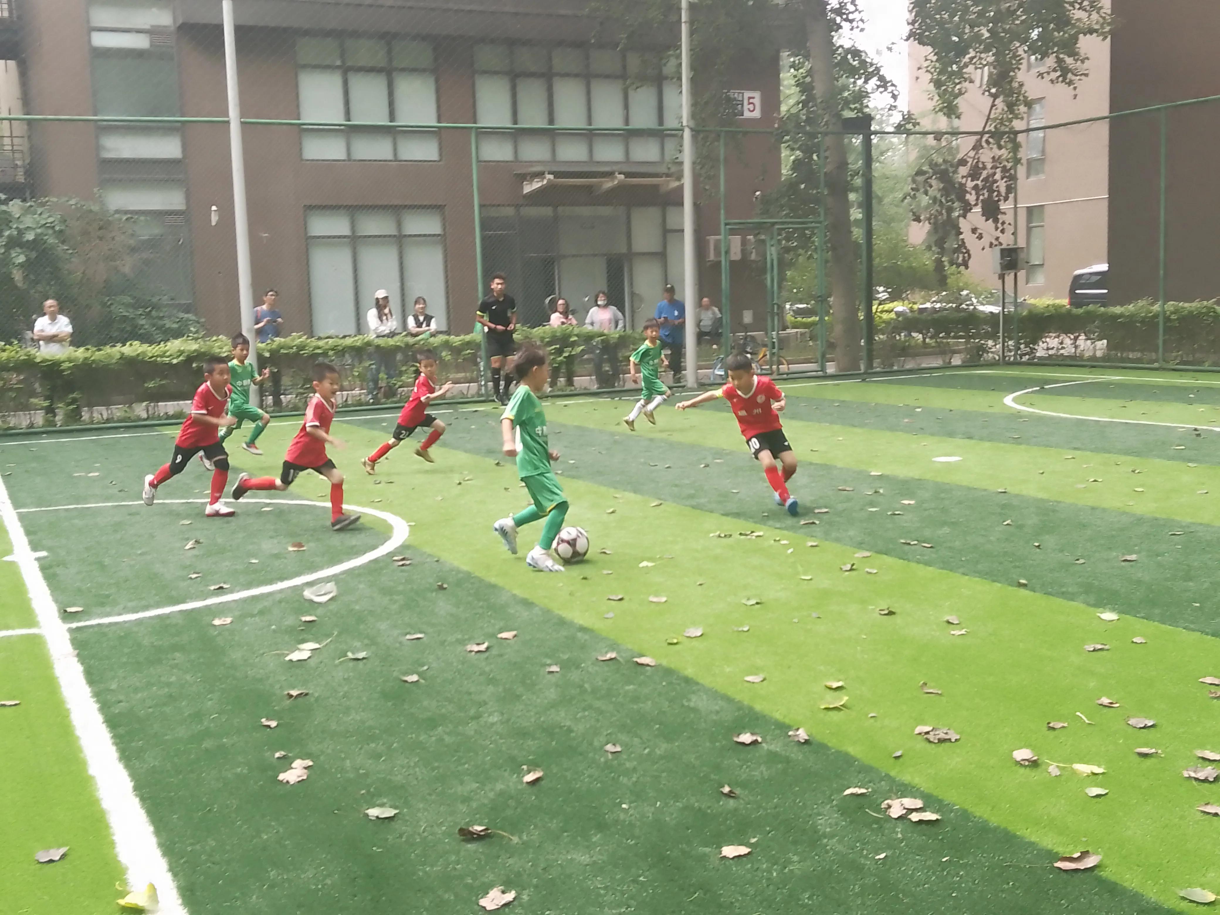 志愿服务大赛活动有哪些,志愿服务大赛