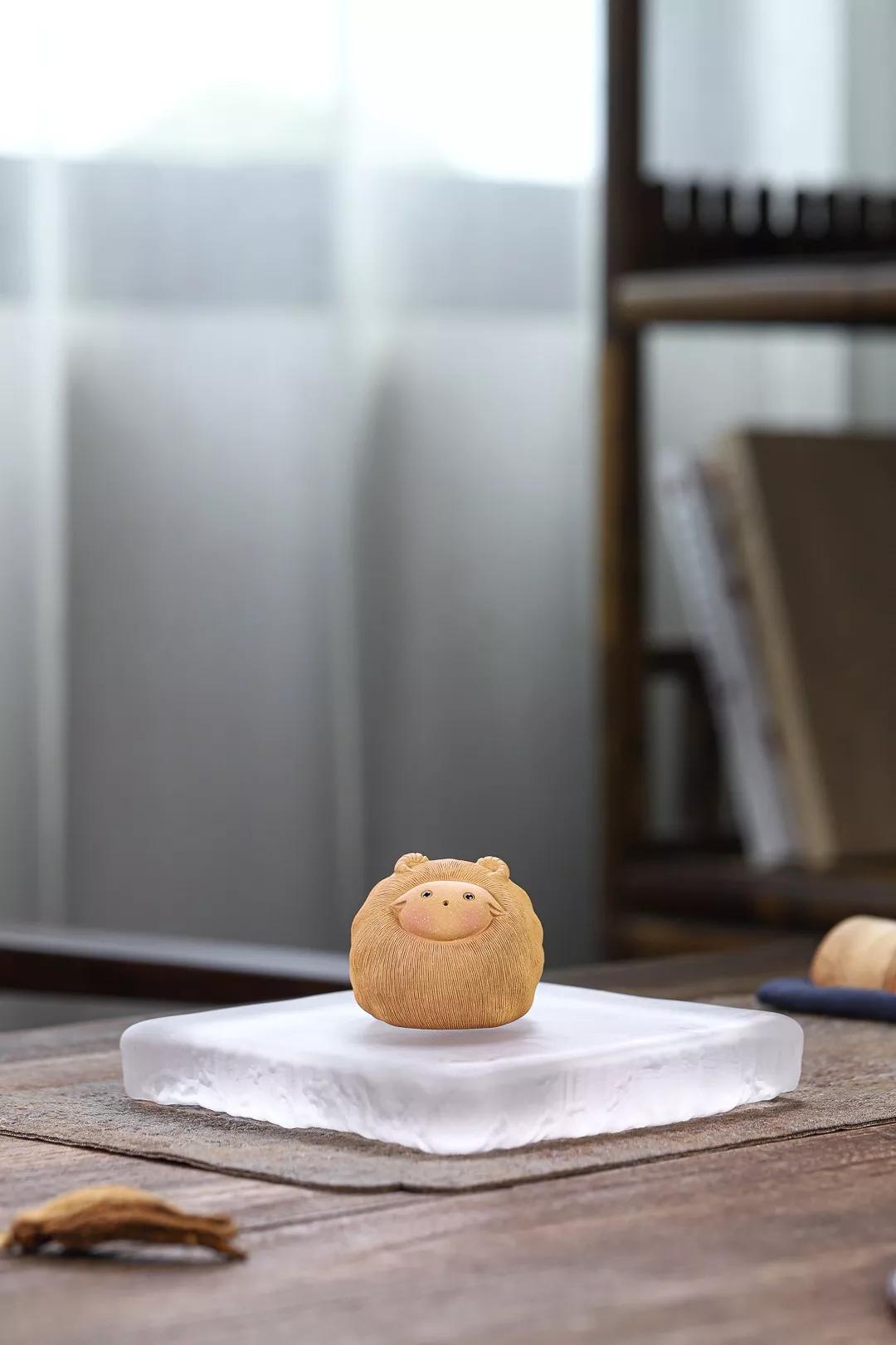 羊咩咩活体,羊咩咩款式