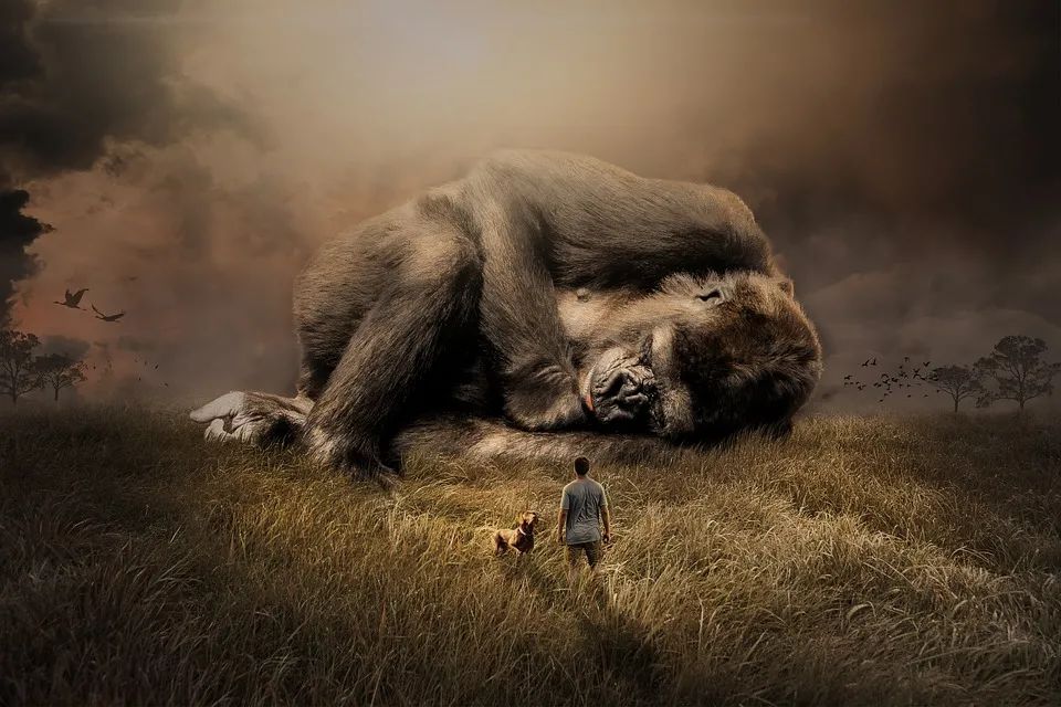 距今1.7亿年，重庆发现亚洲最古老剑龙，物种起源背后究竟有何秘密？