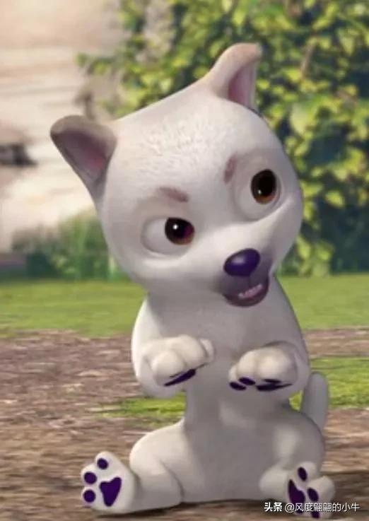 熊出没最厉害的角色,熊出没历代角色大全