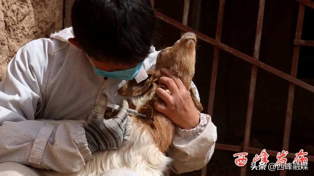 帅龙龙是干什么的,帅龙龙最新视频