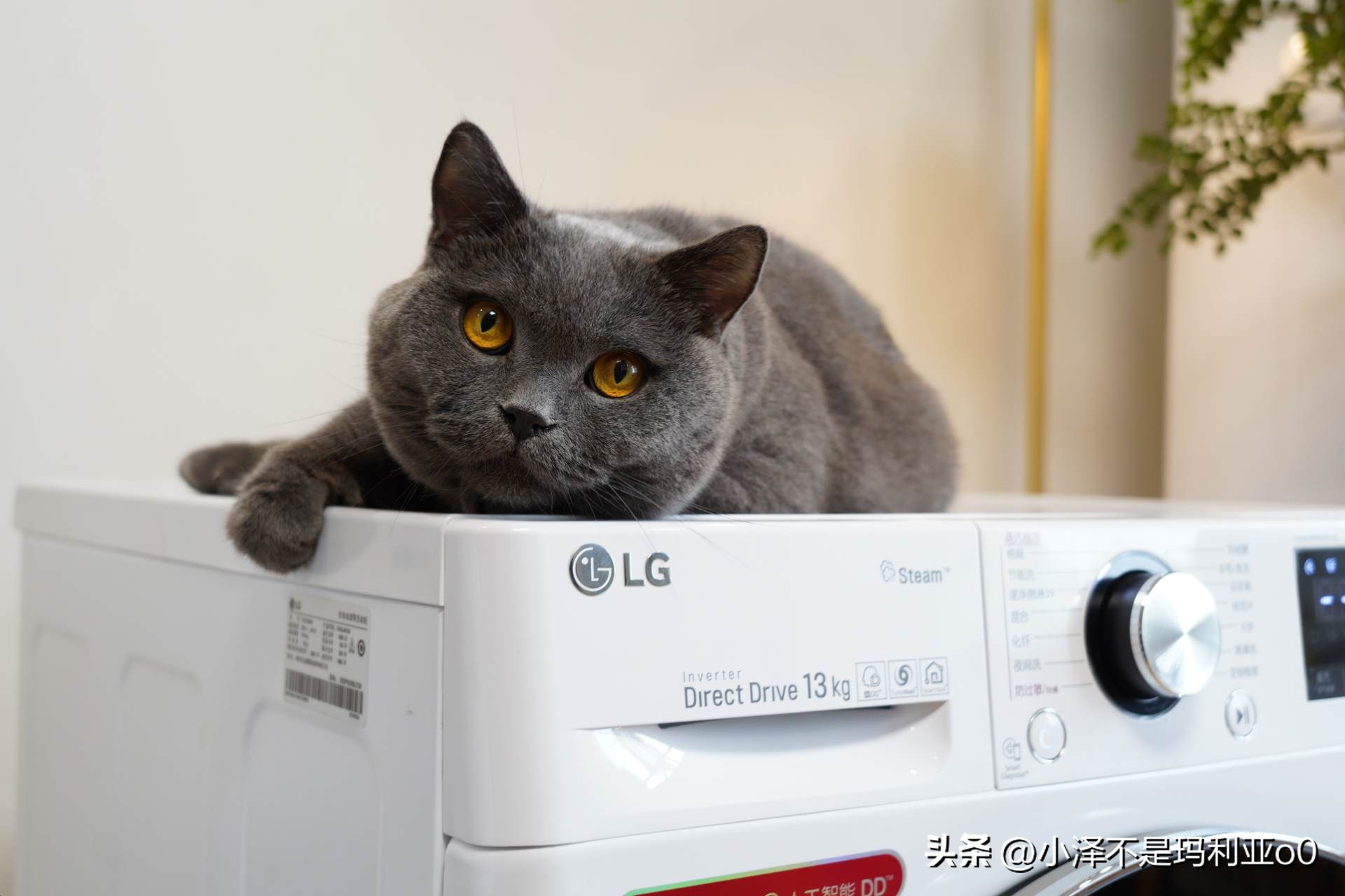 洗烘套装lg推荐,lg洗烘套装怎么选