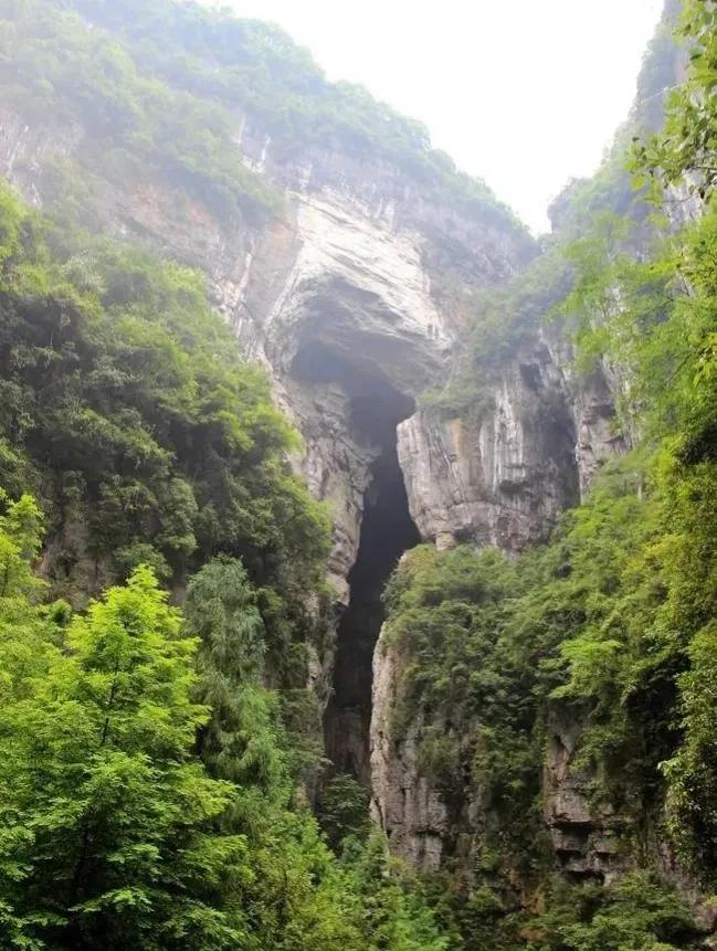 碧峰峡自然遗产大熊猫栖息地,世界自然遗产中国大熊猫栖息地