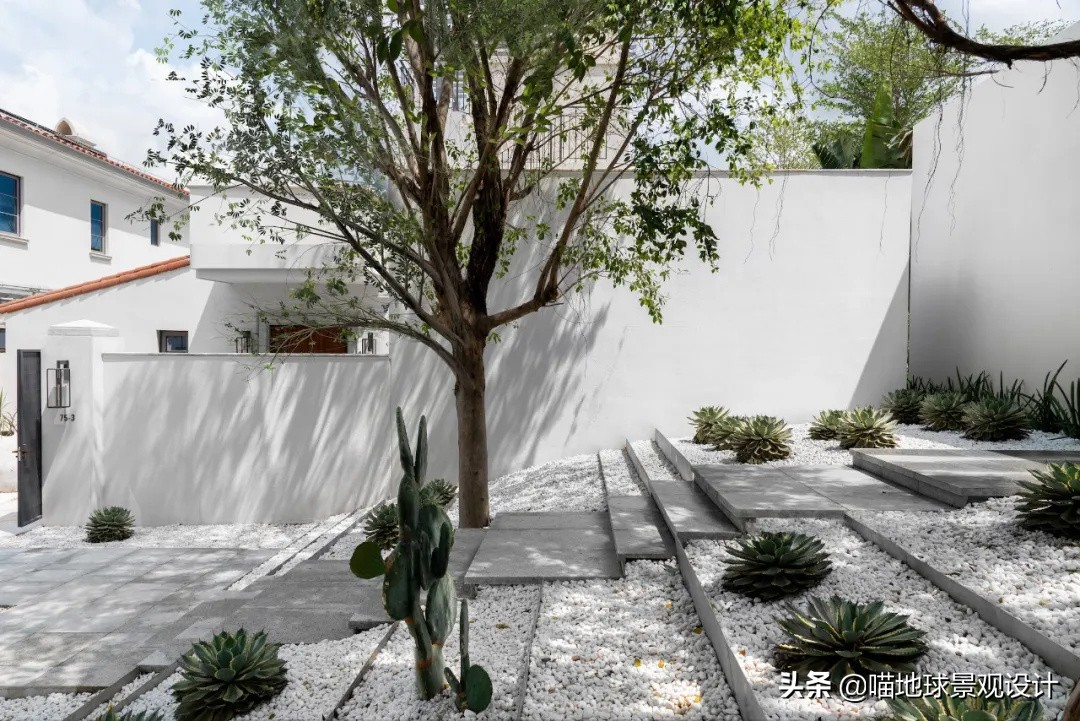 热带风情的庭院别墅,庭院大型热带风情绿植