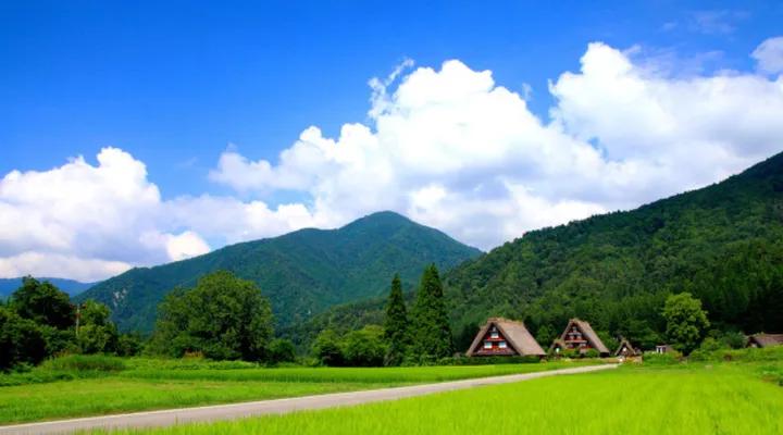 机票团体票怎么订,机票组合票怎么买最划算