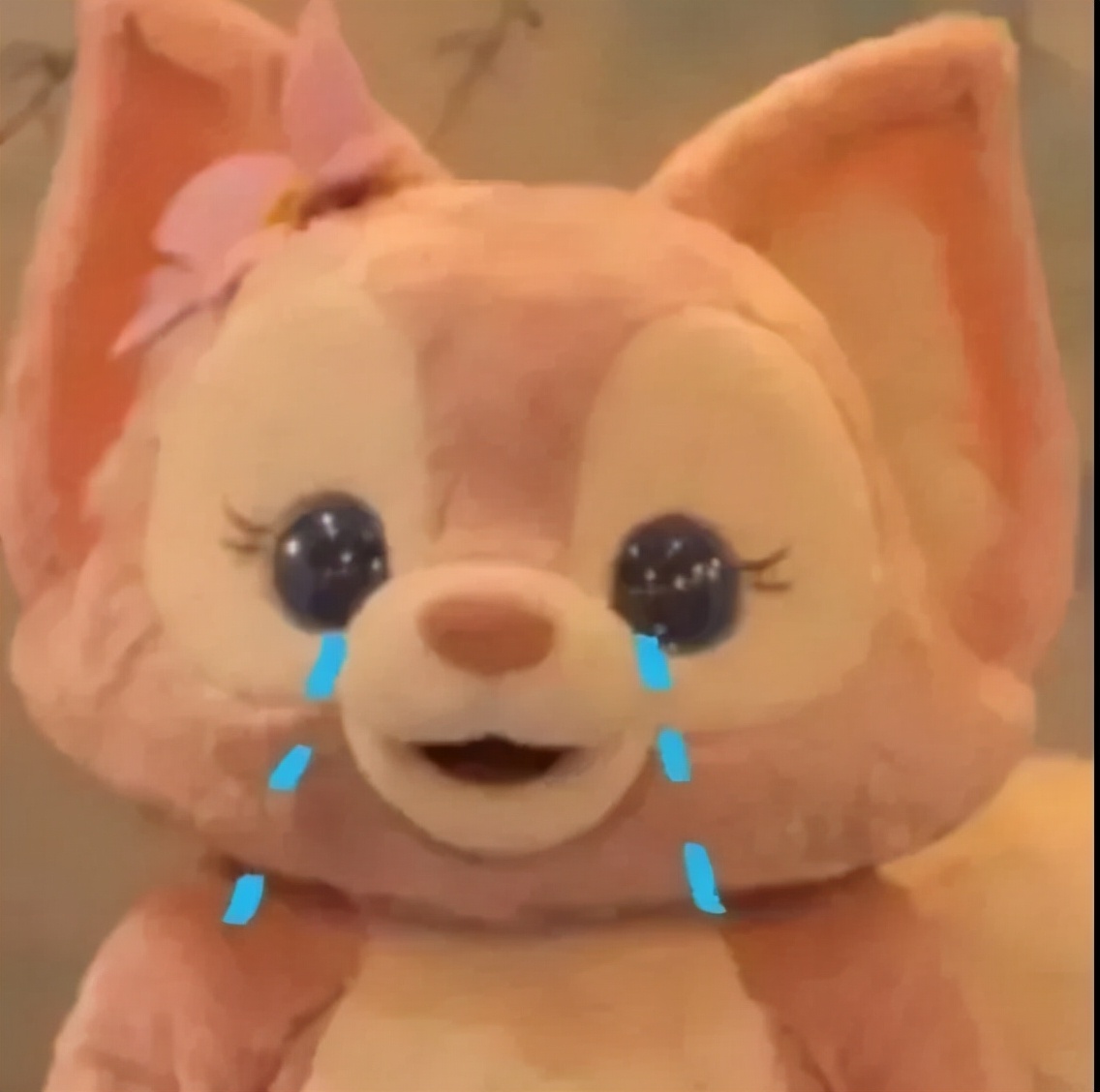 你说不喜欢我表情包我就删了,你为什么把我删了表情包