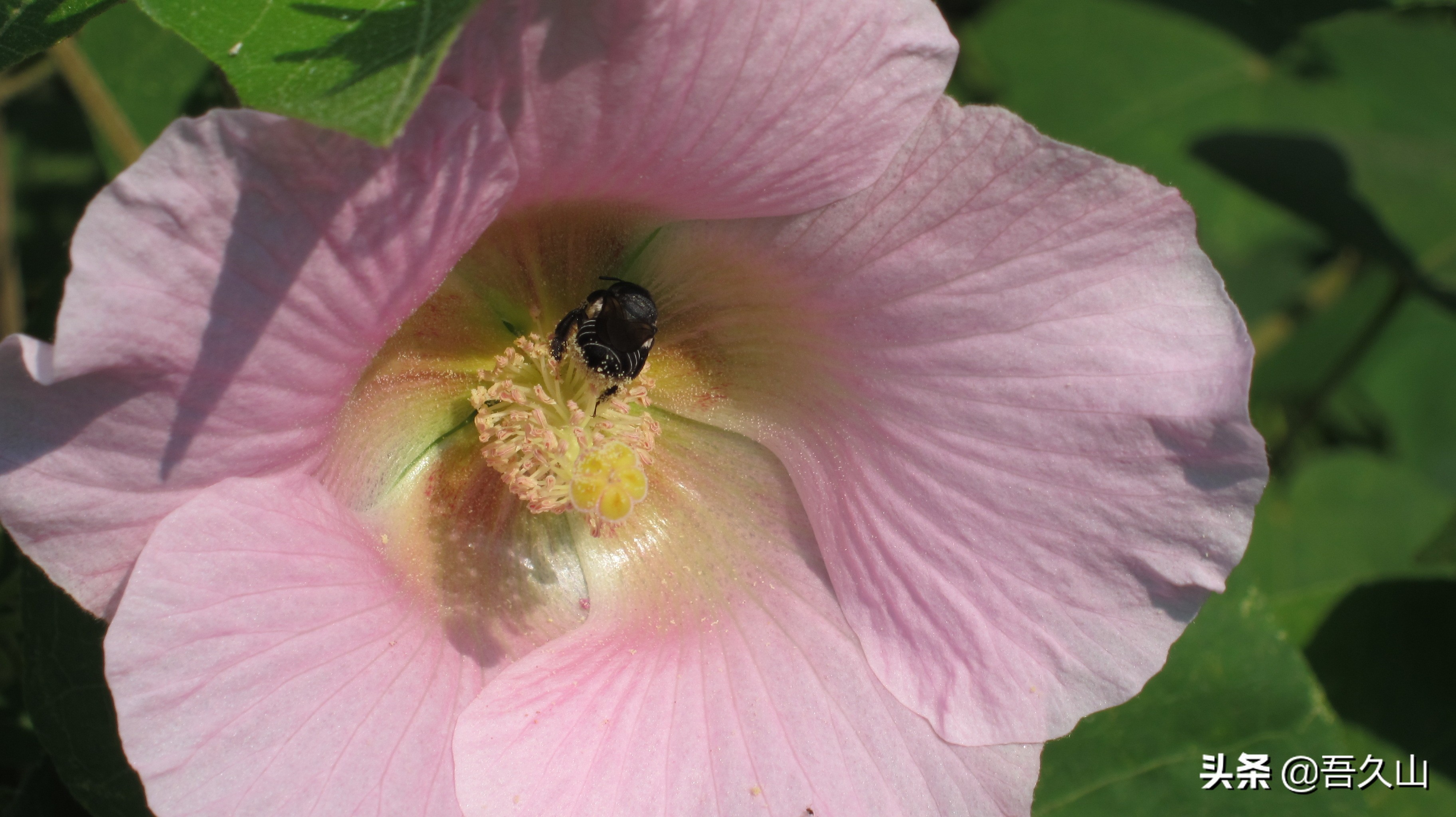 影响中国生育率的原因,中国人口出生率下降的原因和对策