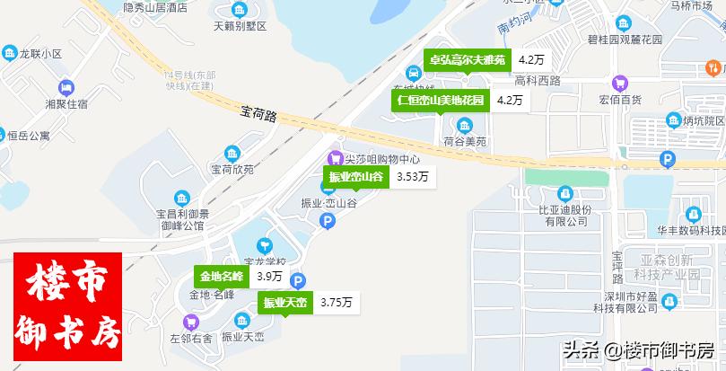 武汉南山悦时光项目,南山悦时光花园效果图