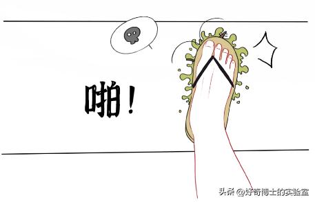 家里踩死的蟑螂，为啥一会儿就自动消失了？