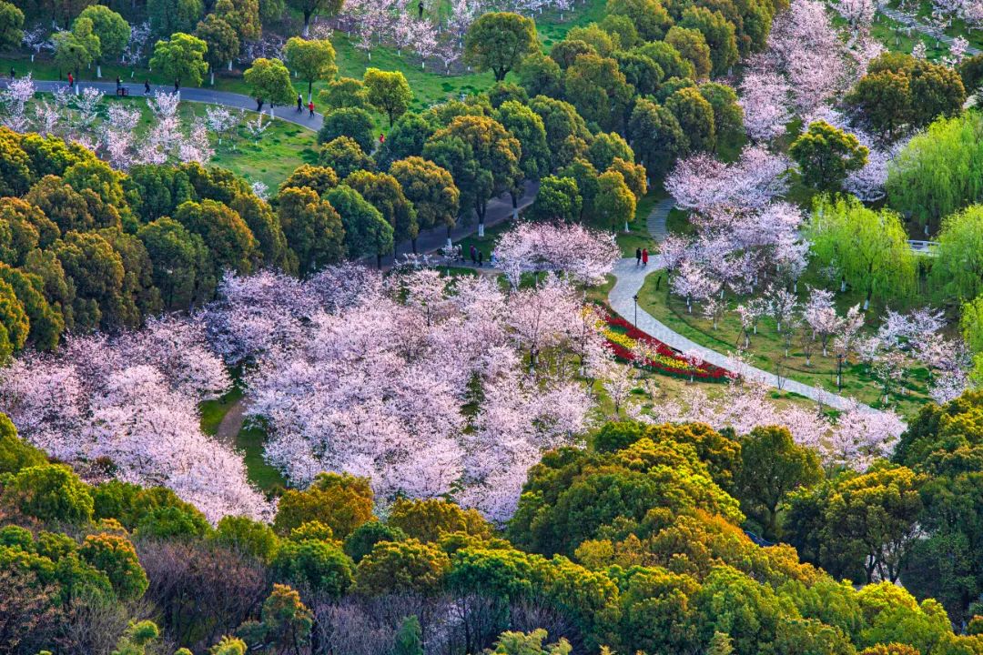 快上车app官网,快上车在哪设置