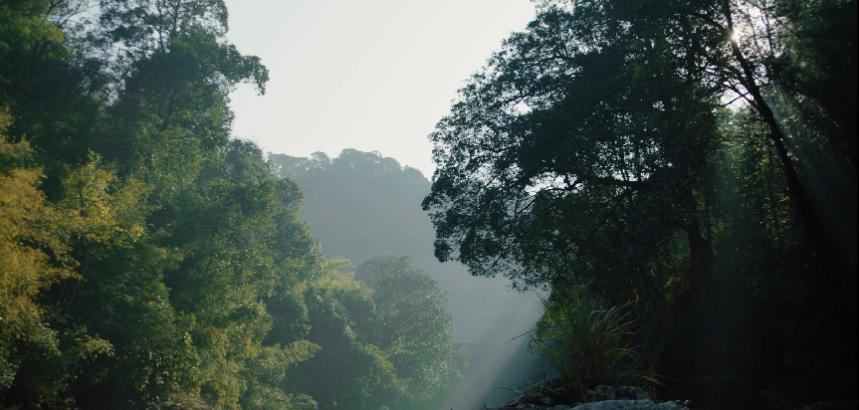 益力水厂在哪里,益力水源
