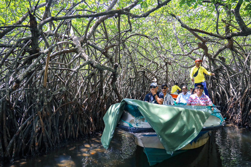 斯里兰卡旅游攻略必去景点,斯里兰卡最佳旅游攻略