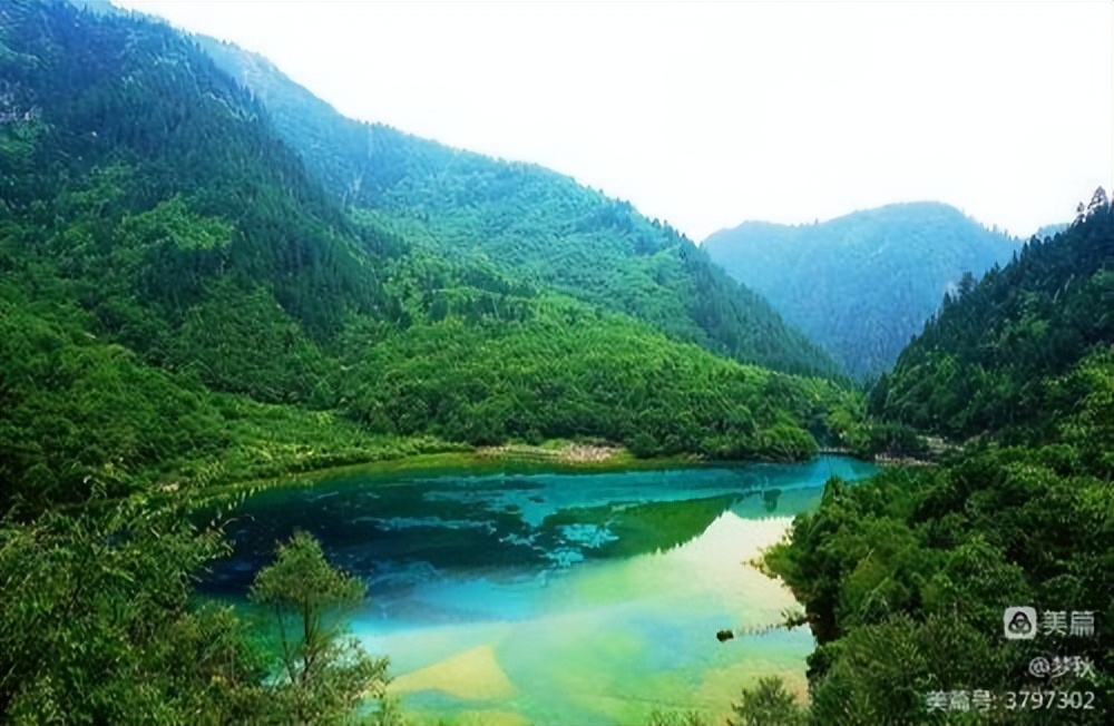 《百花美文》2022年第七期，总第八十八期