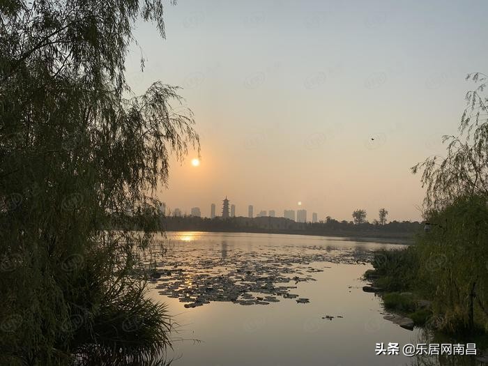 徐州美的公园天下第一期开盘时间,阜阳美的公园天下15号楼备案价