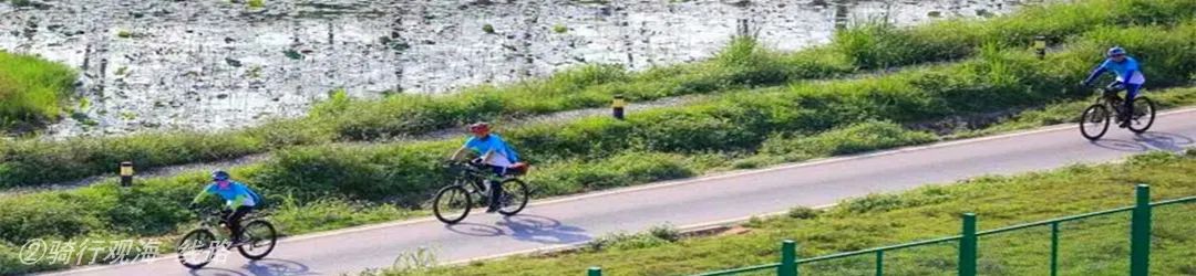 深圳自由行户外旅行,深圳市生态旅游精品线路