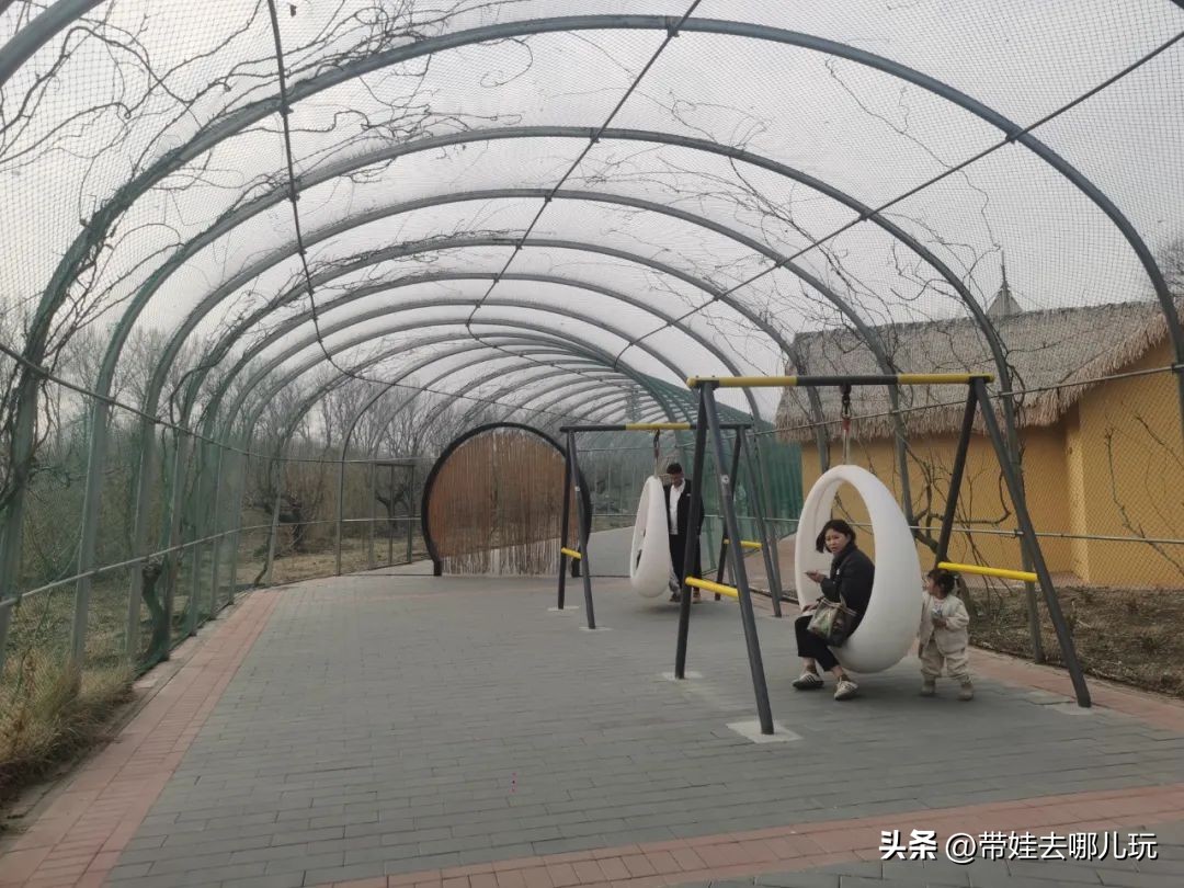 一天玩遍北京野生动物园,包场去鸟巢