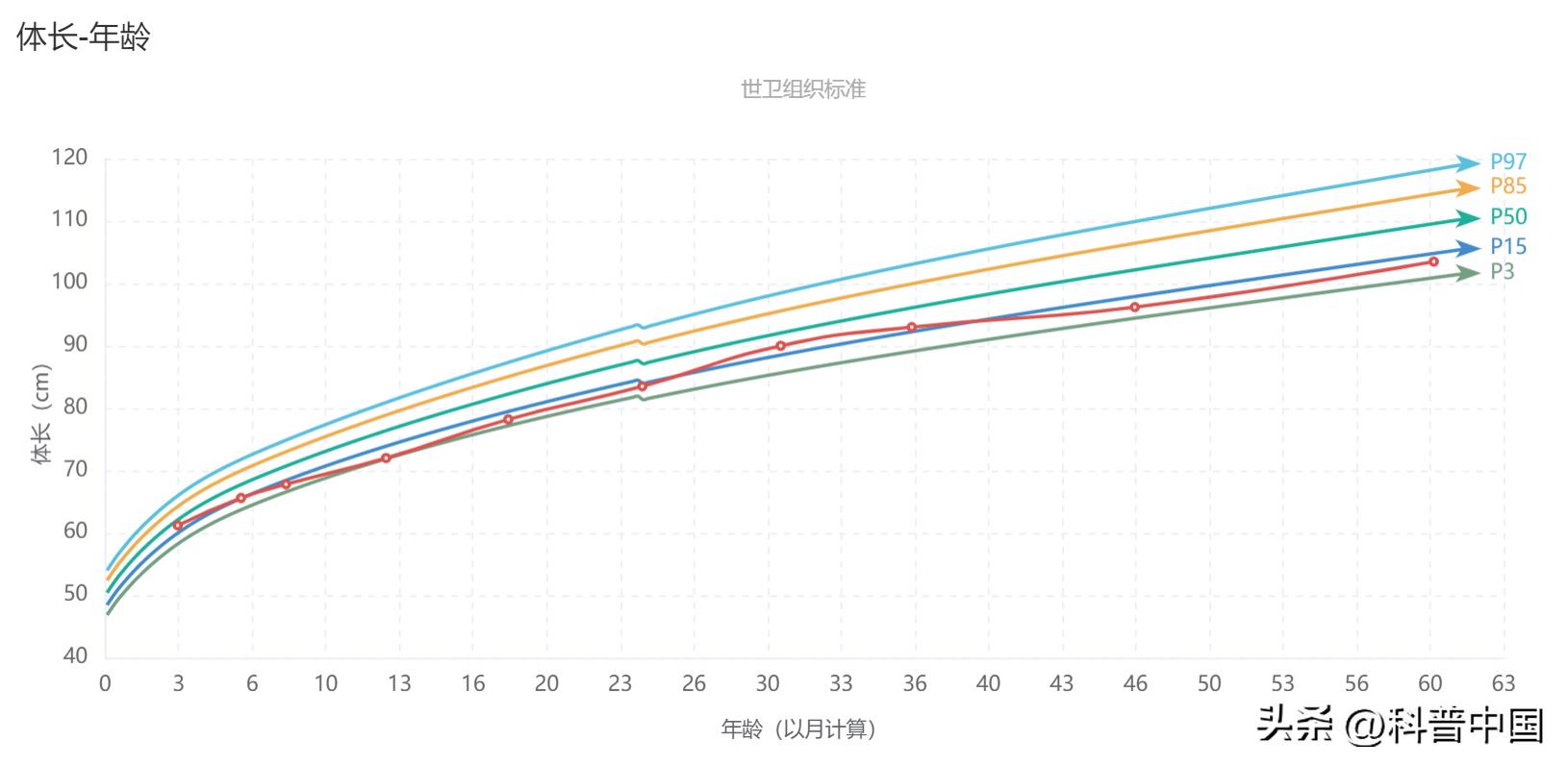 春天吃公鸡对小孩长高有帮助吗,孩子长高要趁早抓住春季黄金期