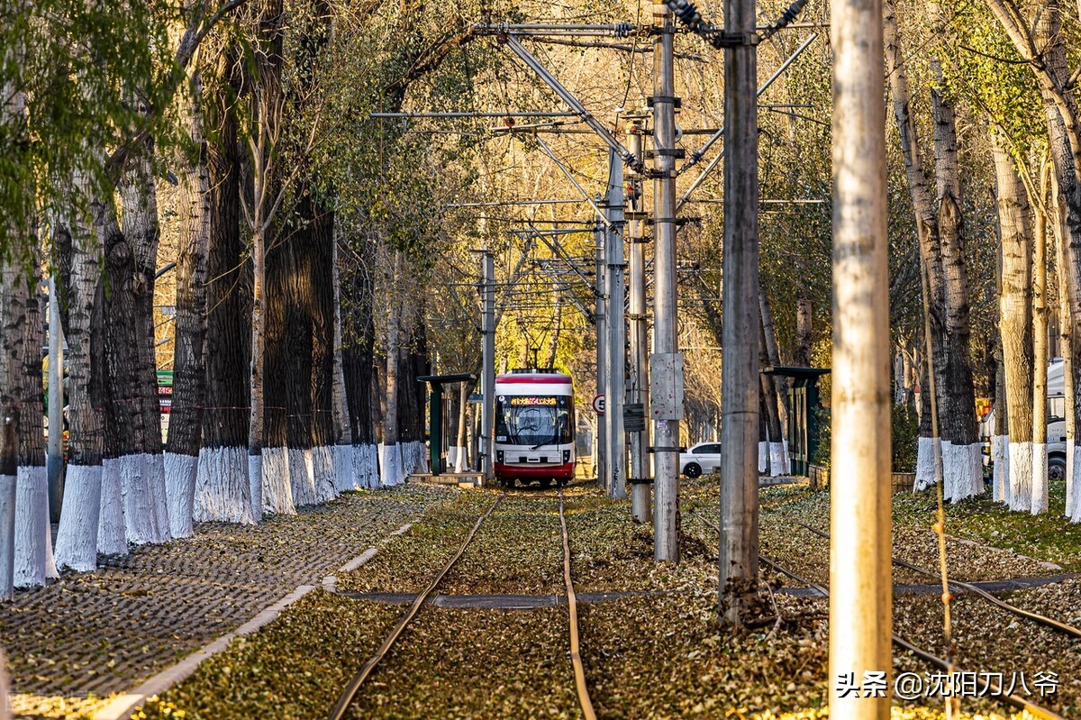 沈阳地铁5号线最新线路图清晰版,沈阳地铁5号线神秘面纱