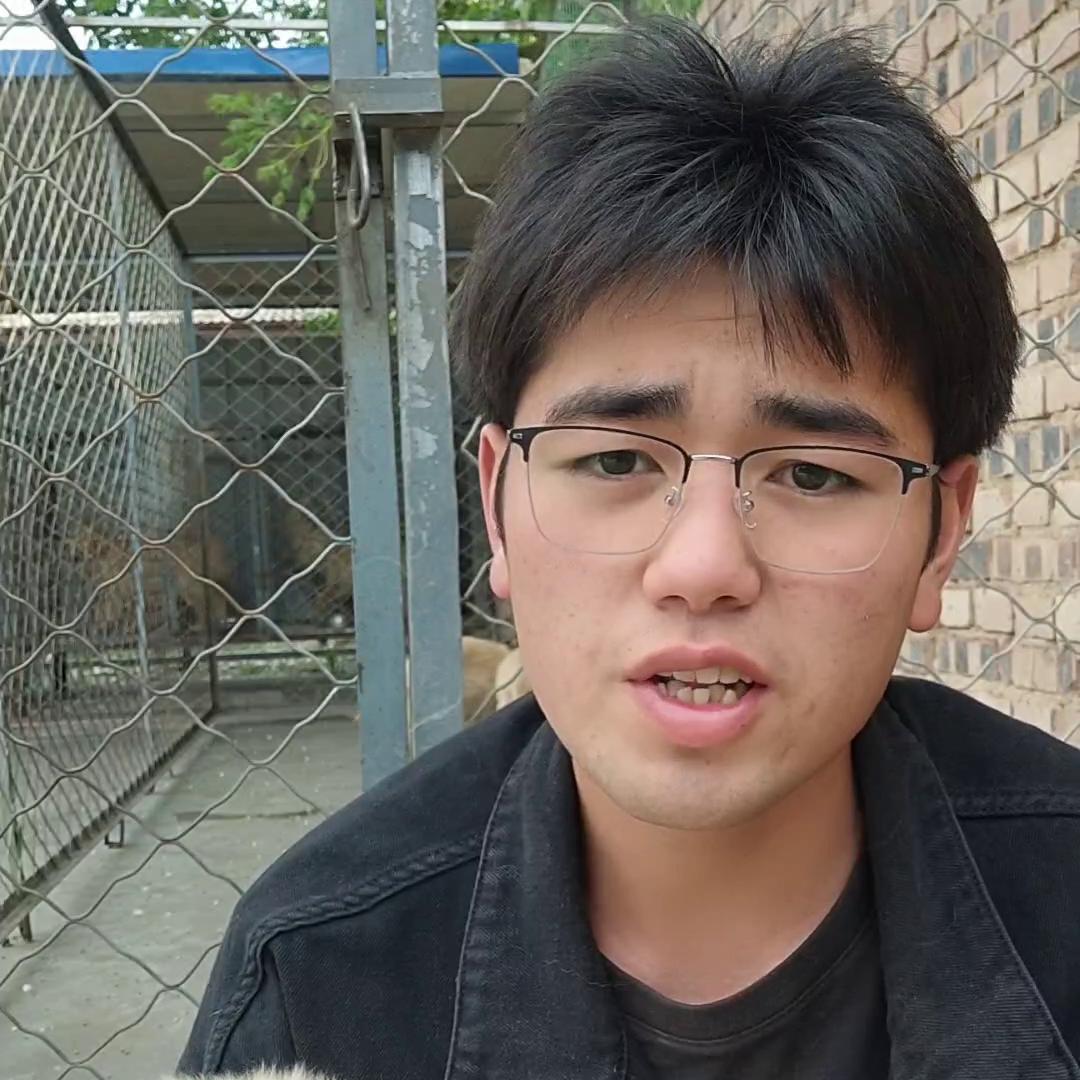 几个月的狗狗可以吃剩饭剩菜,狗狗不吃剩菜剩饭挑食怎么办