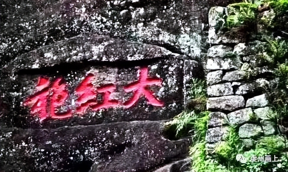 画上原唱版,乌龙茶里闹乌龙