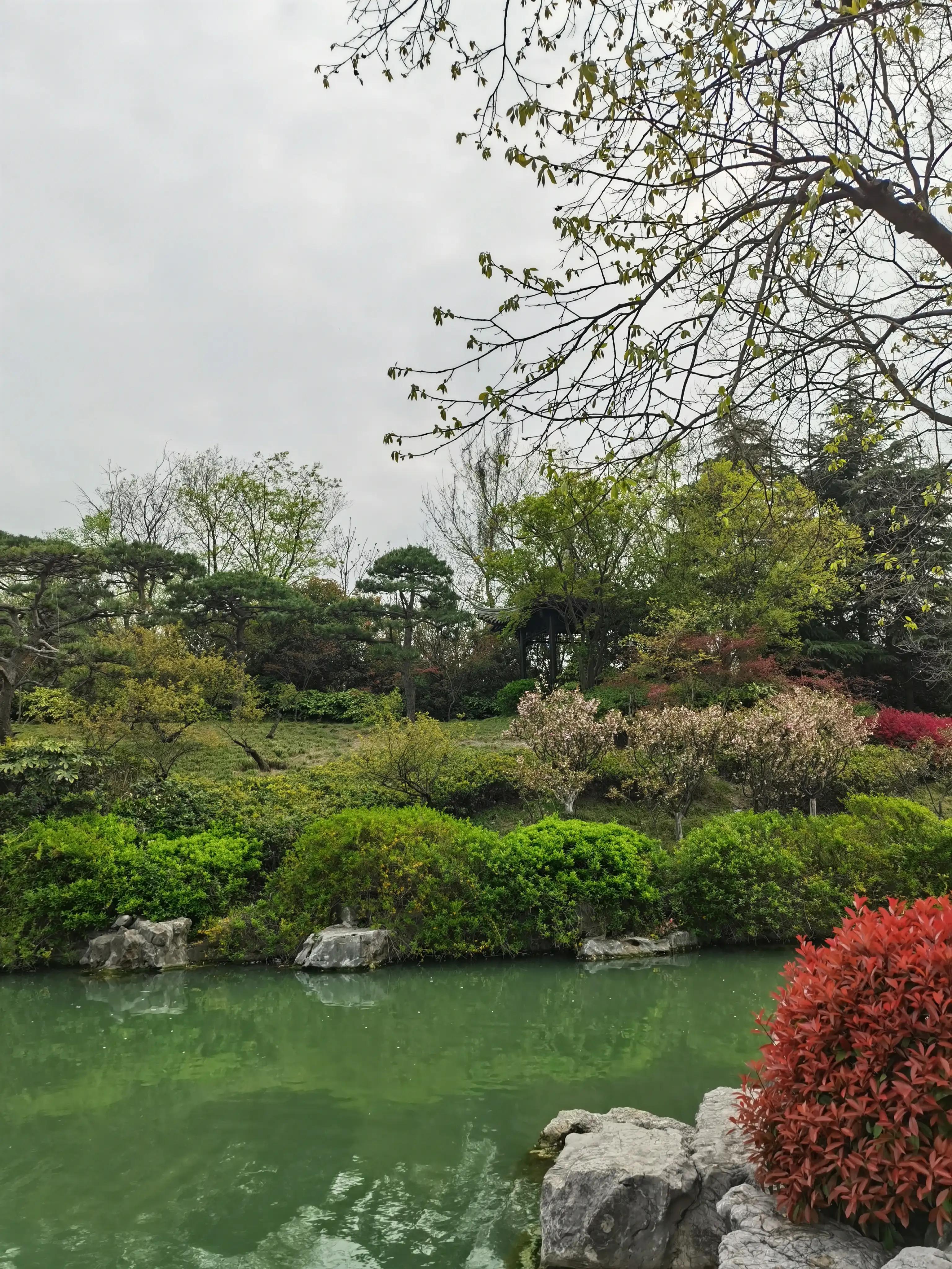 婴语奶声奶气,婴语声音视频