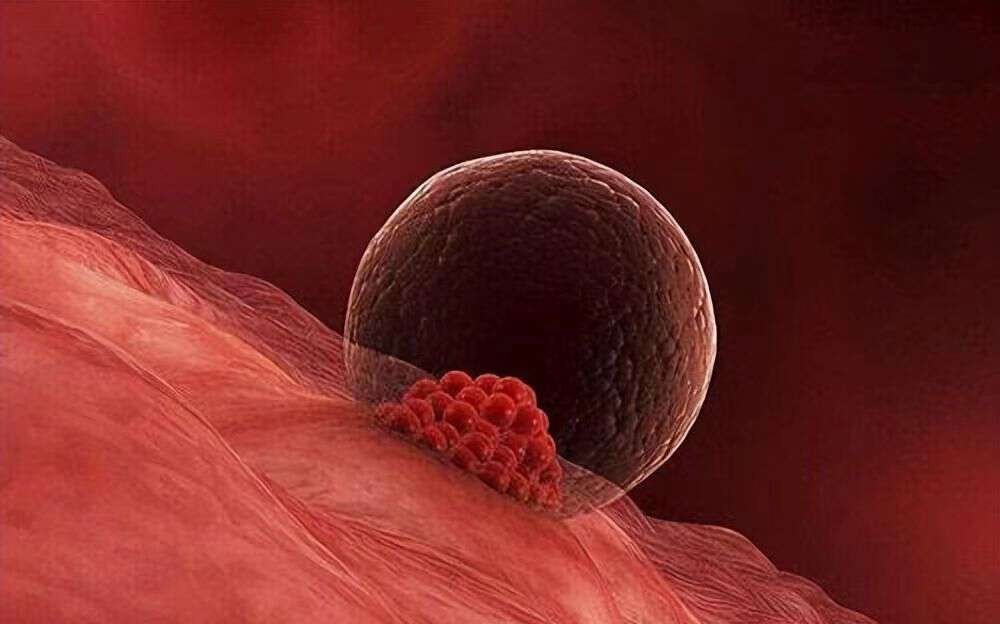 母亲冒生命危险把子宫移植给女儿,43岁妈妈将子宫移植给22岁女儿