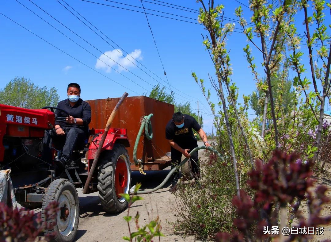 小村庄村支书,小村领头人小说