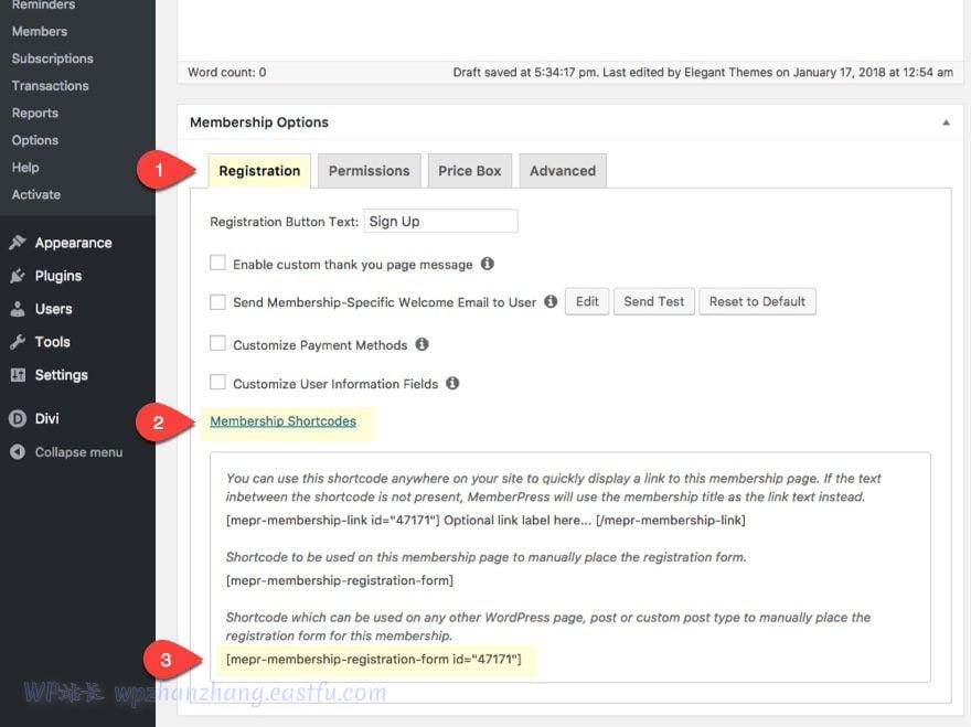 divi使用教程,divi网站搭建