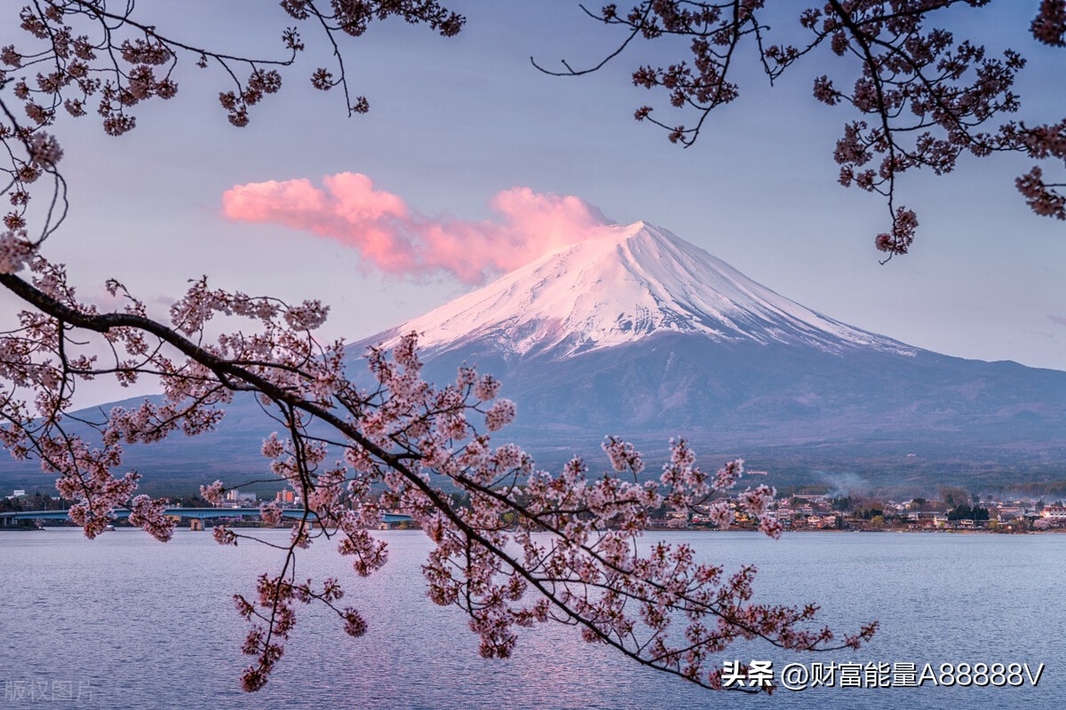 红单竞彩埃弗顿vs纽卡斯尔联英超,今日竞彩推荐切尔西vs西汉姆联