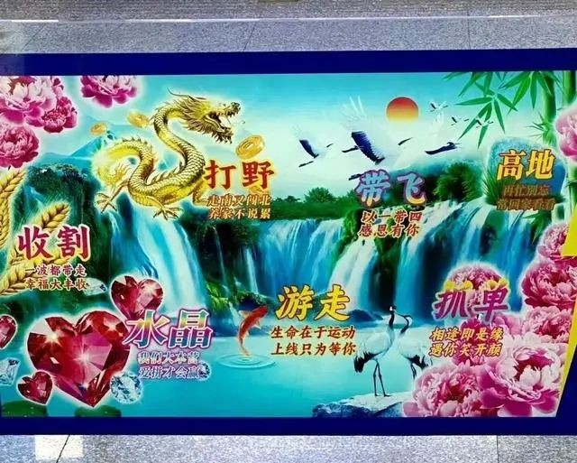 格力玫瑰空调,格力回应玫瑰空调被吐槽丑