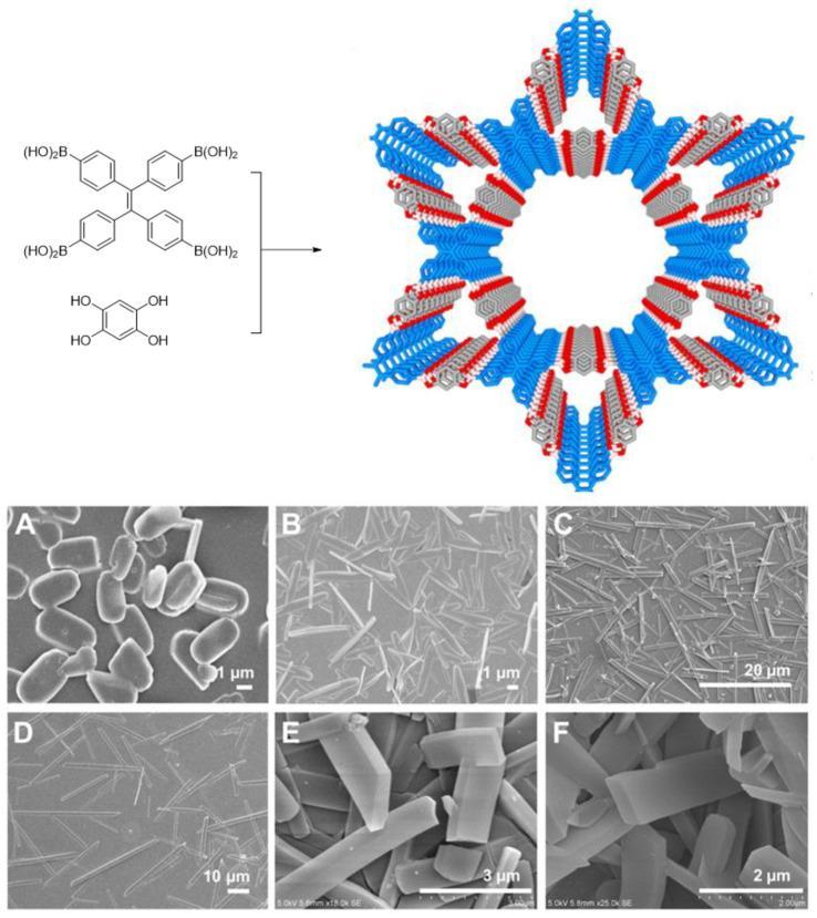 共轭聚合物的结构特点,共轭聚合物